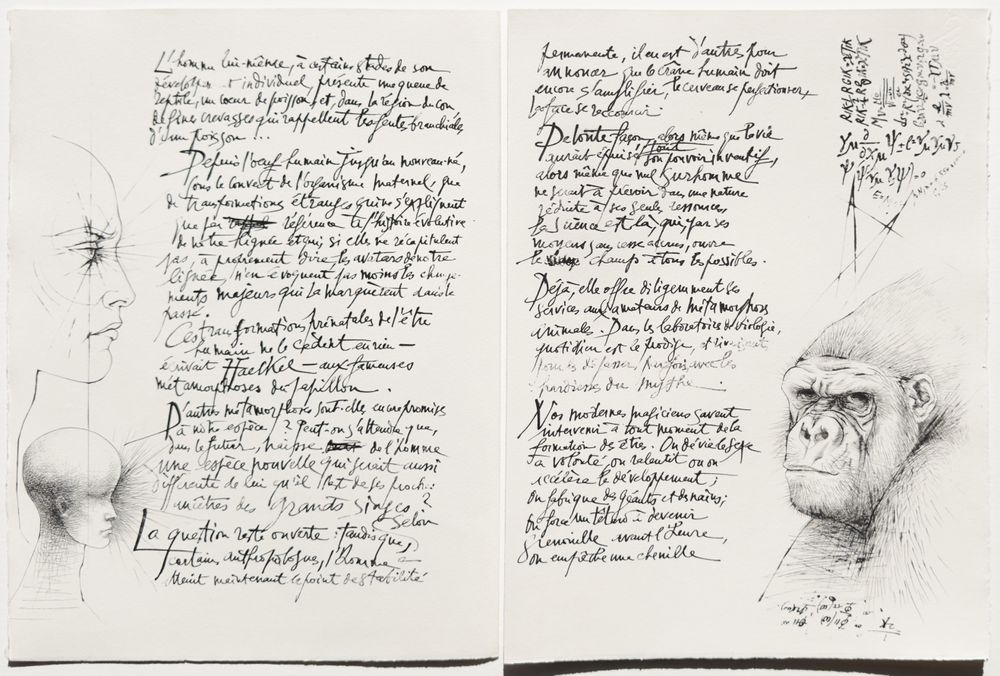 Métamorphoses - 20 gravures in texte + suite — vue 12