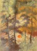 Soleil dans la forêt