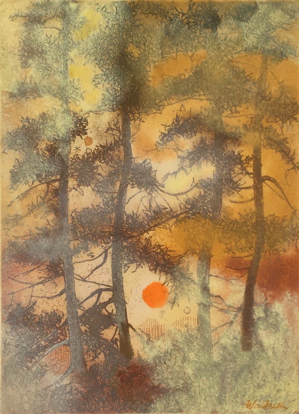Soleil dans la forêt