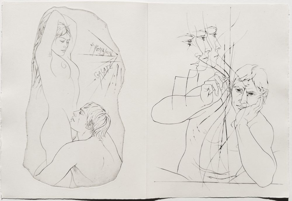 Métamorphoses - 20 gravures in texte + suite — vue 2