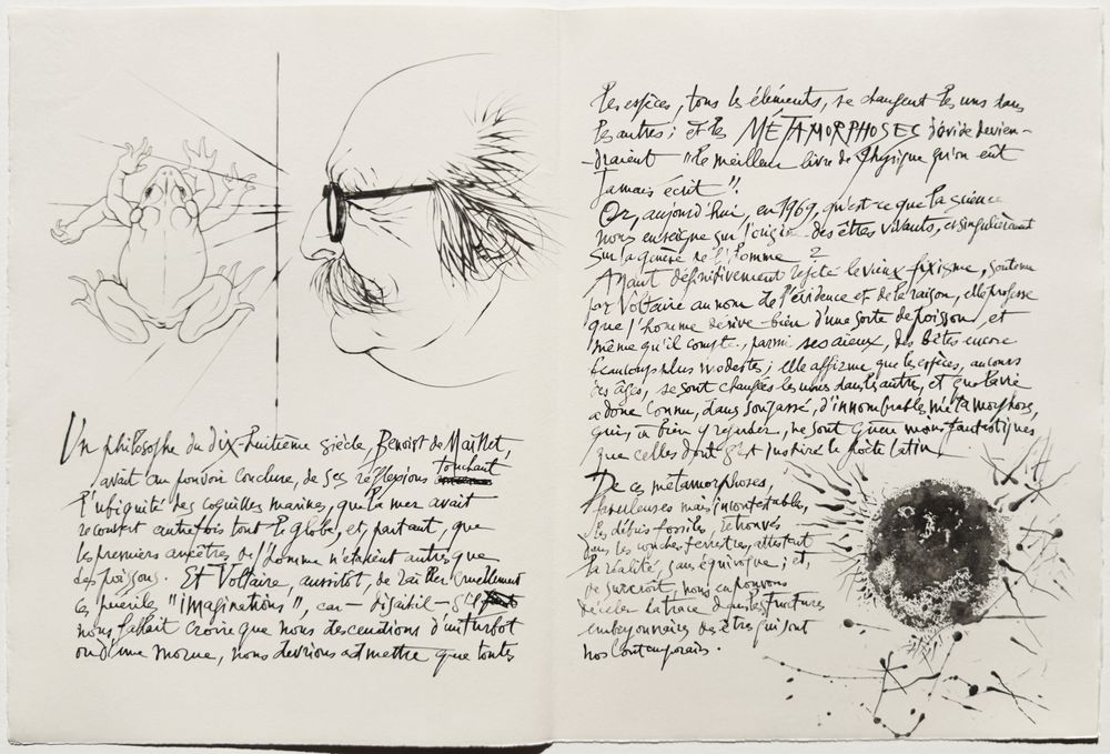 Métamorphoses - 20 gravures in texte + suite — vue 11