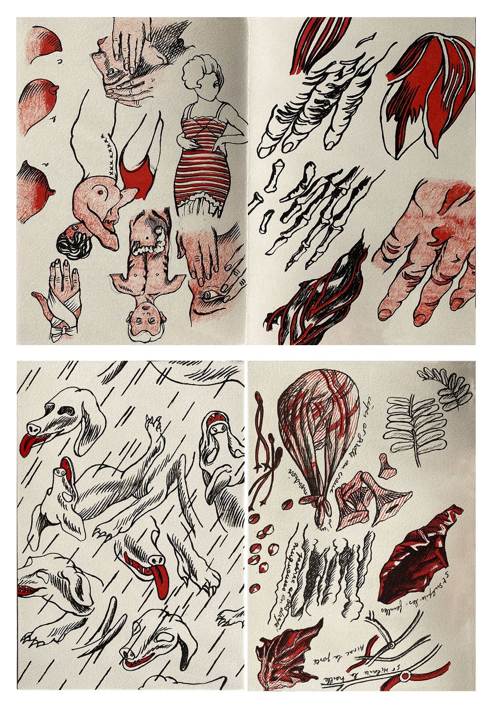 Douleurs en fougères - 18 lithographies dont 5 signées — vue 3