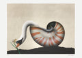 Le cygne et la jonquille