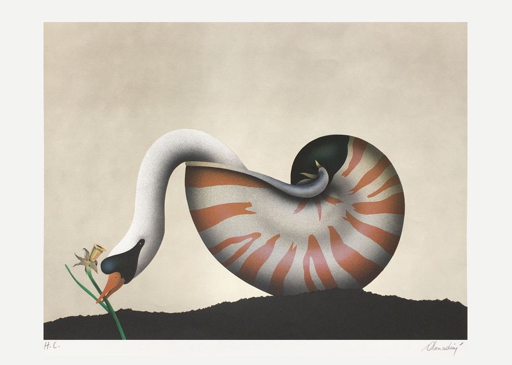 Le cygne et la jonquille