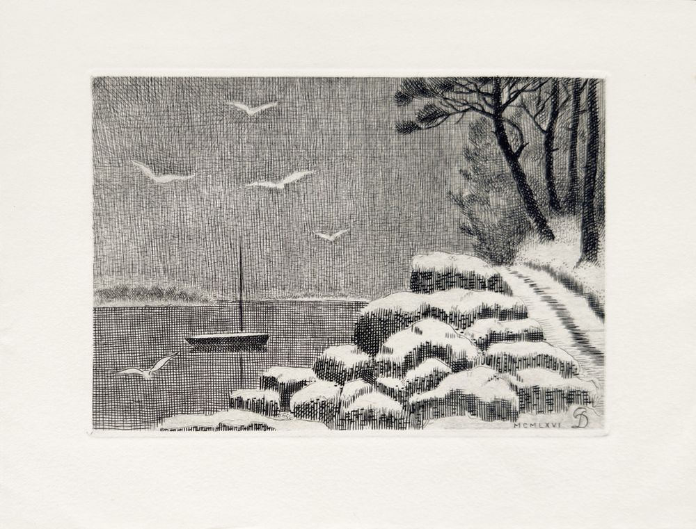 Bord de lac en hiver