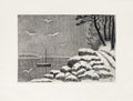 Bord de lac en hiver