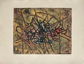 Fruit fly I