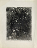 L'oiseau I
