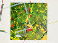 Vers l'arbre de la vie 04