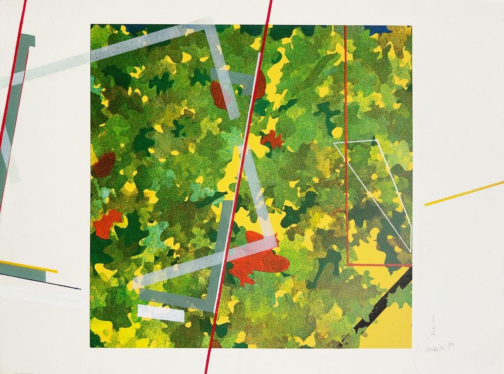 Vers l'arbre de la vie 04