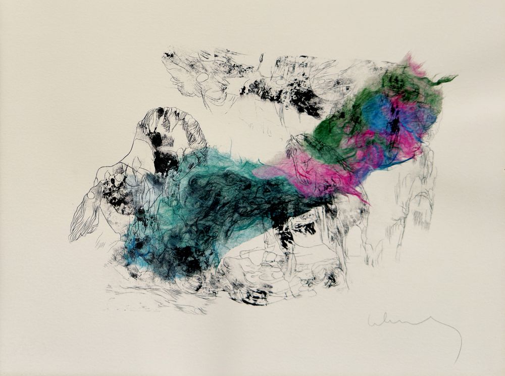 Horses (complete portfolio with 27 lithographs and etchings) — vue 14