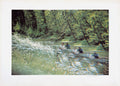 Bois de Boulogne 1963