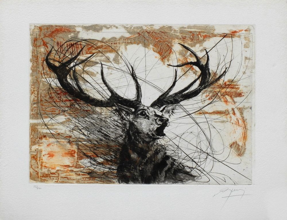 Cerf