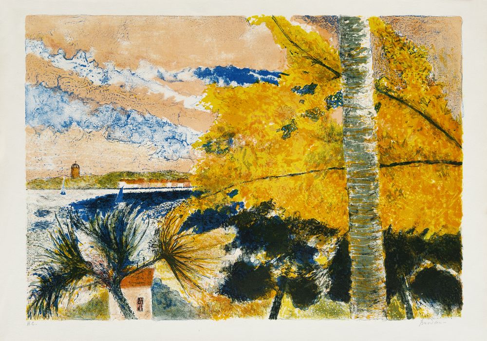 Les mimosas à Bandol
