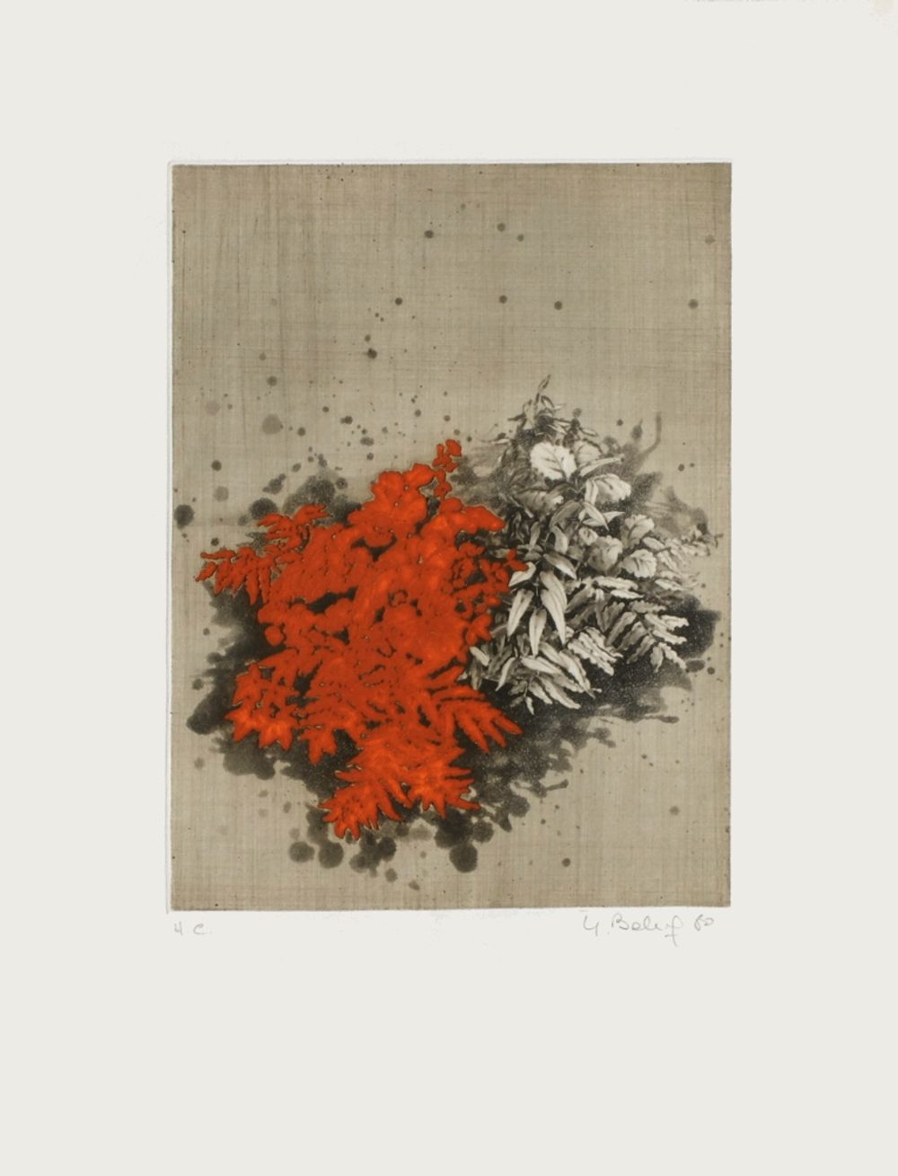 Fleurs rouges
