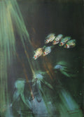 Fishes