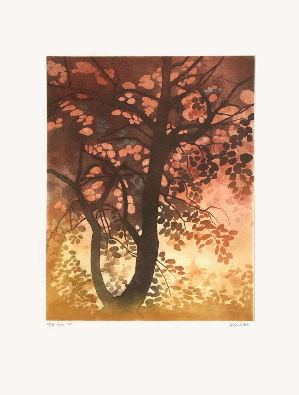 Lyre tree