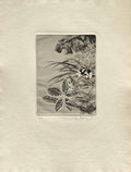 Fleurs NB I