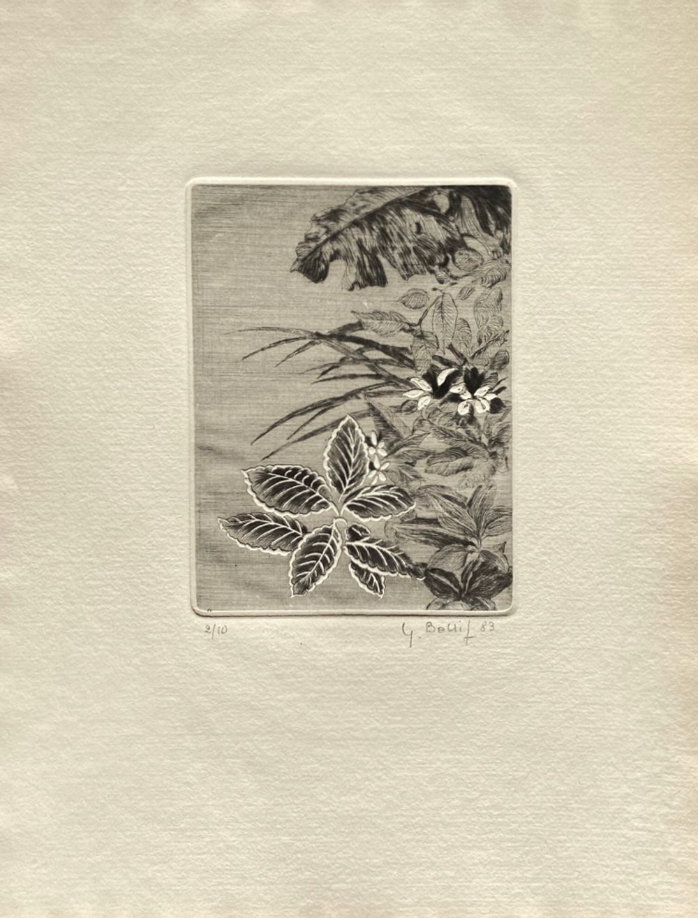 Fleurs NB I