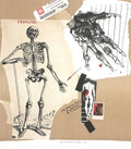 Vesalius