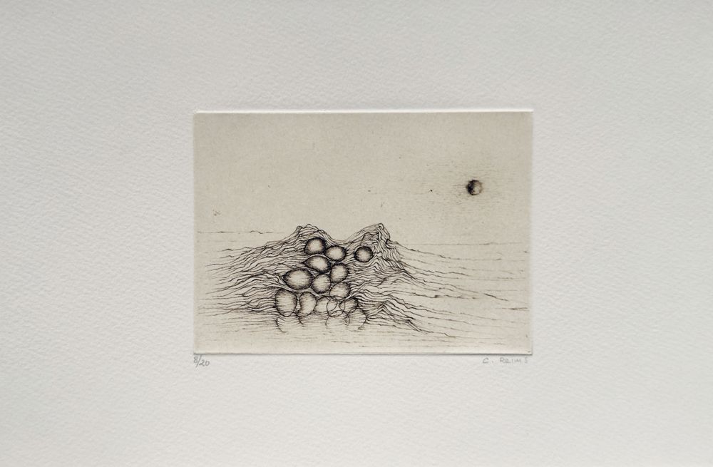 Histoire naturelle III (portfolio de 6 gravures) — vue 3