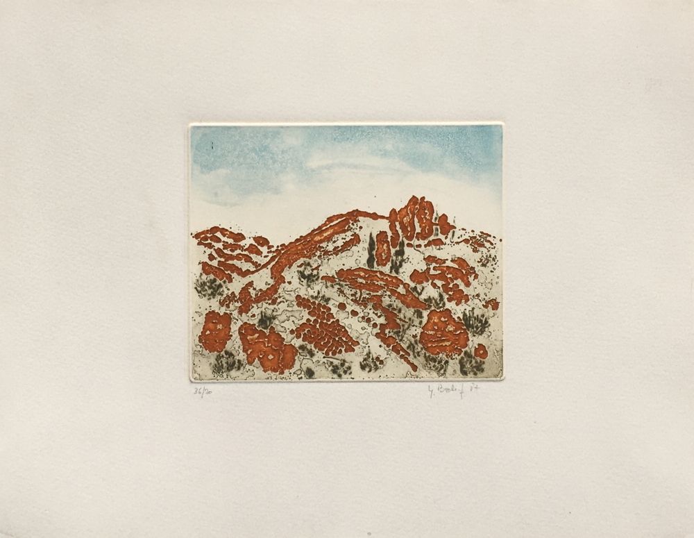 Les Alpilles VI