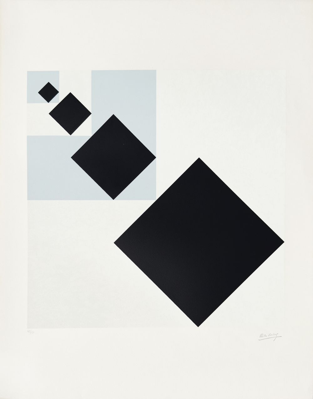 Théo VAN DOESBURG