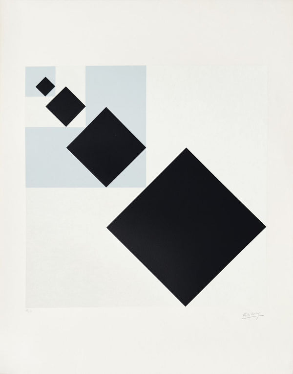 Théo VAN DOESBURG
