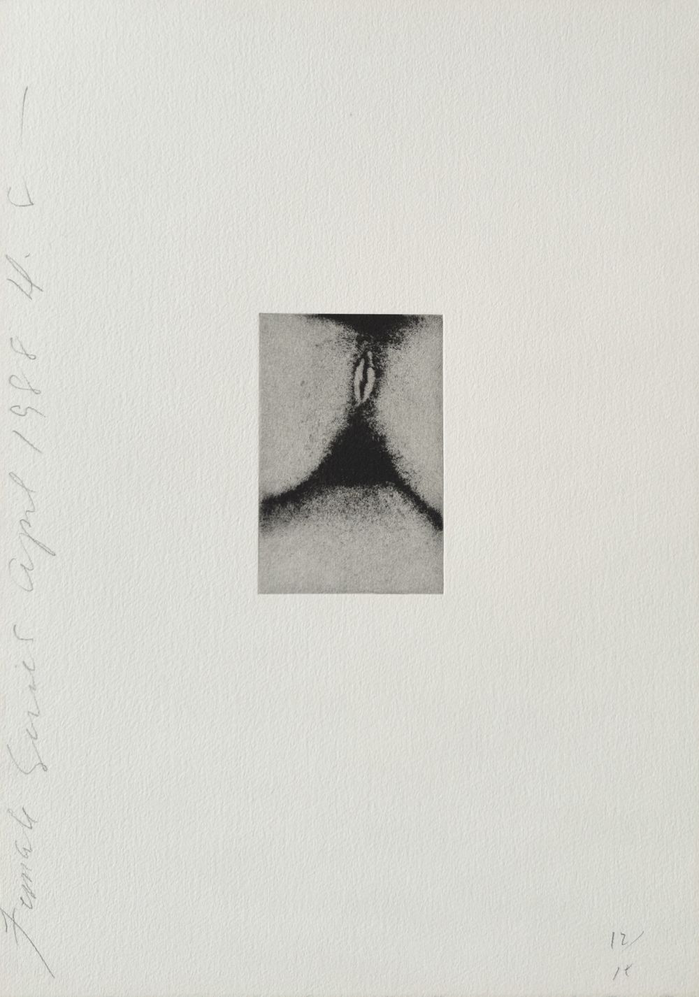 Females series VIII