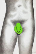 Sex coloration, New York