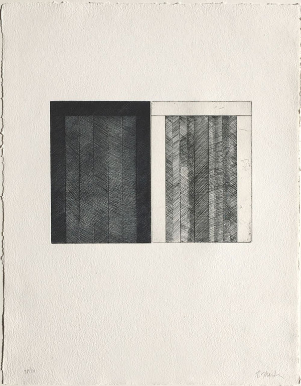 Brice MARDEN