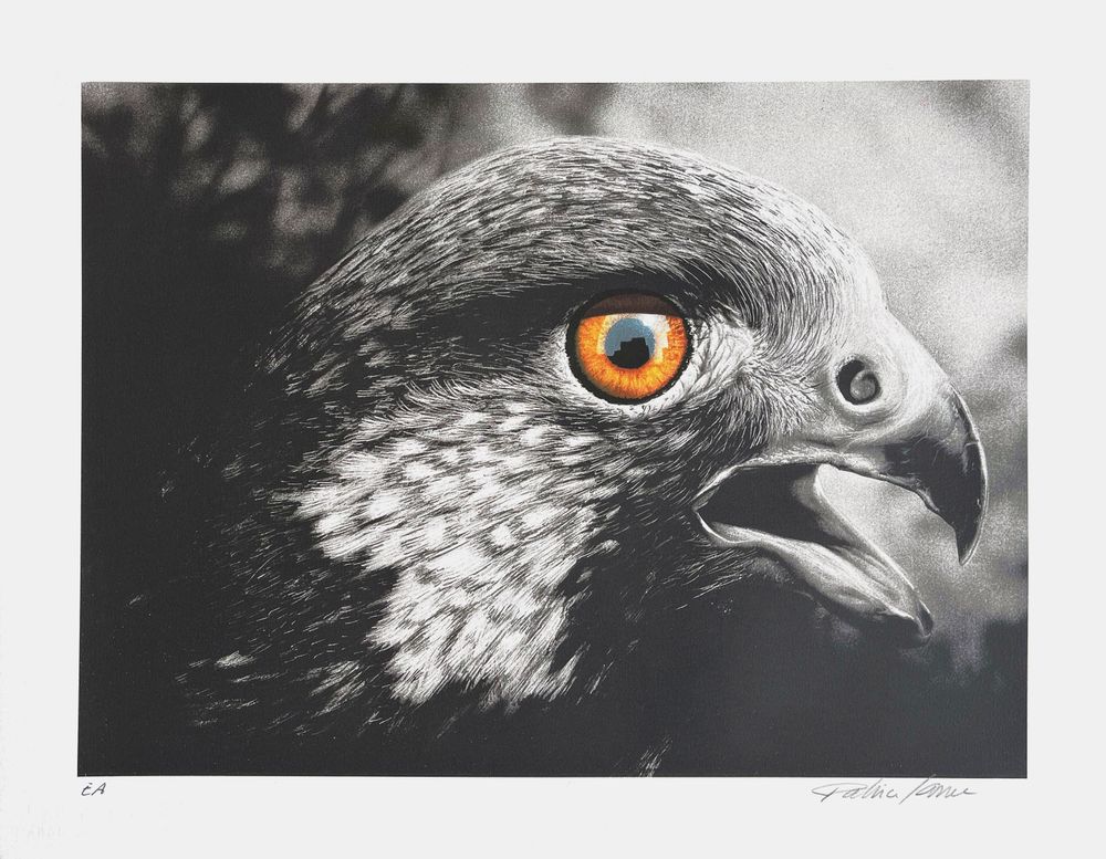 L'aigle