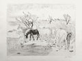 Camargue - Chevaux dans les roseaux