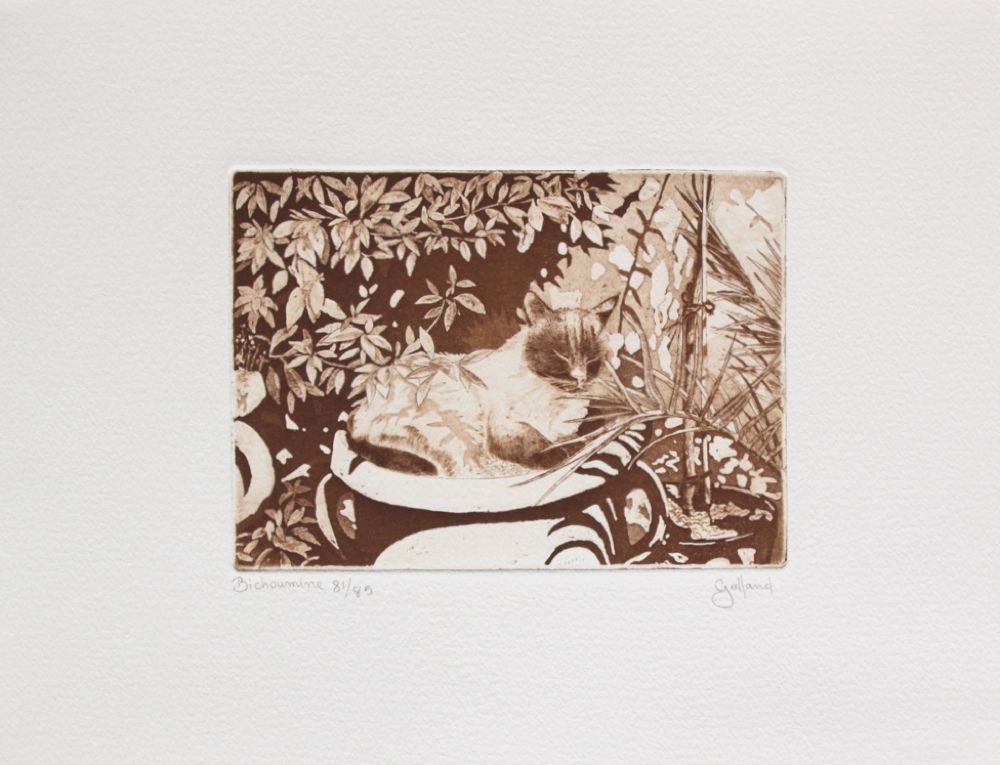 Le chat (suite of 5) — vue 6