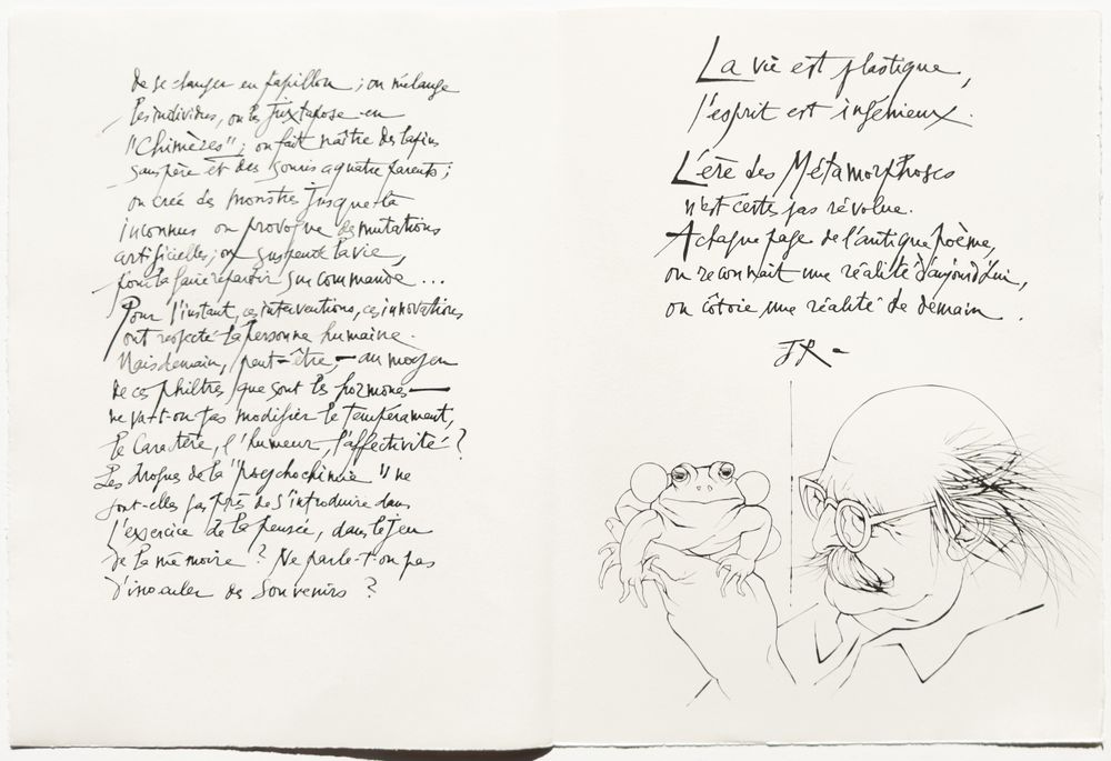 Métamorphoses - 20 gravures in texte + suite — vue 13