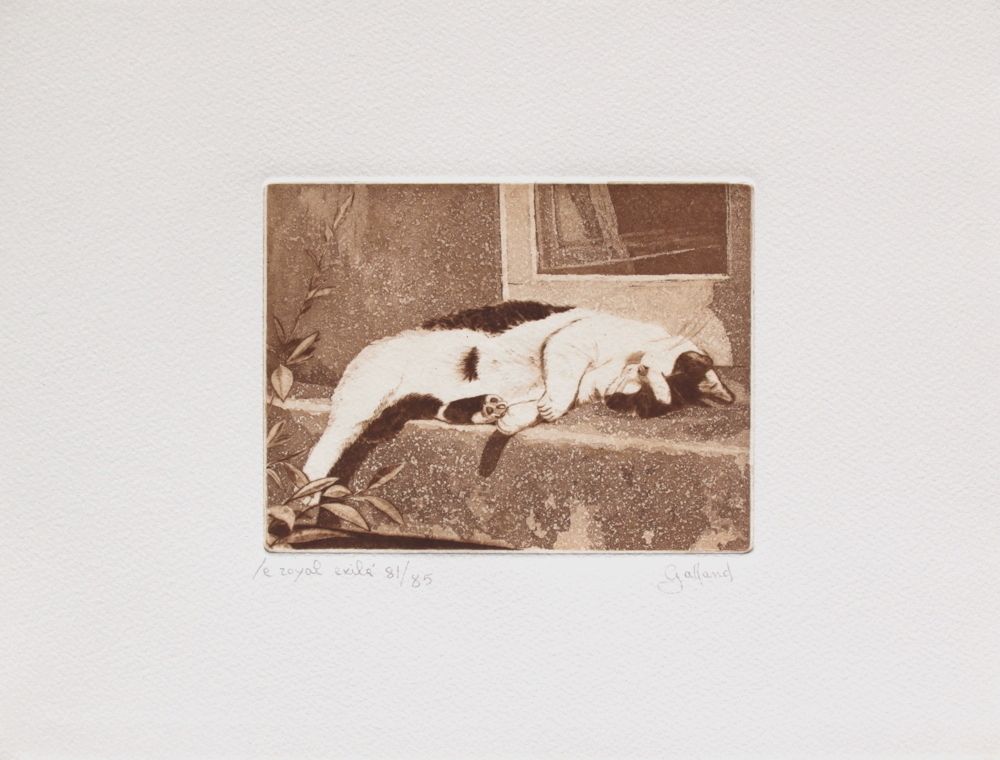 Le chat (suite of 5) — vue 2