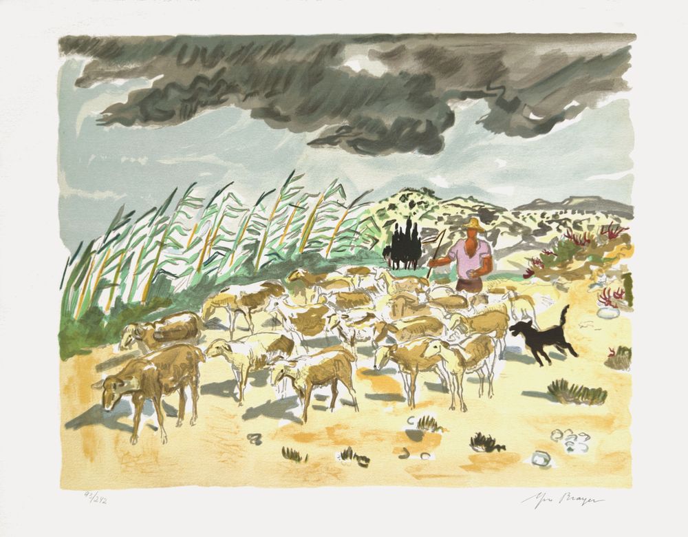 Provence - troupeau dans les alpilles