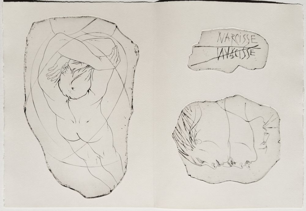 Métamorphoses - 20 gravures in texte + suite — vue 3