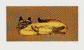 Chat I