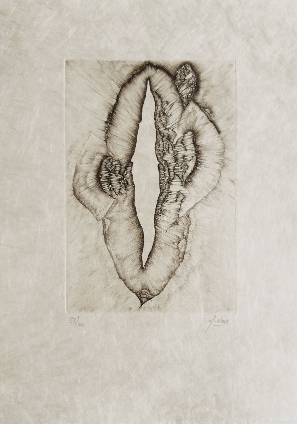 Extroït - 12 gravures signées — vue 7