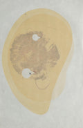 Luz plegada