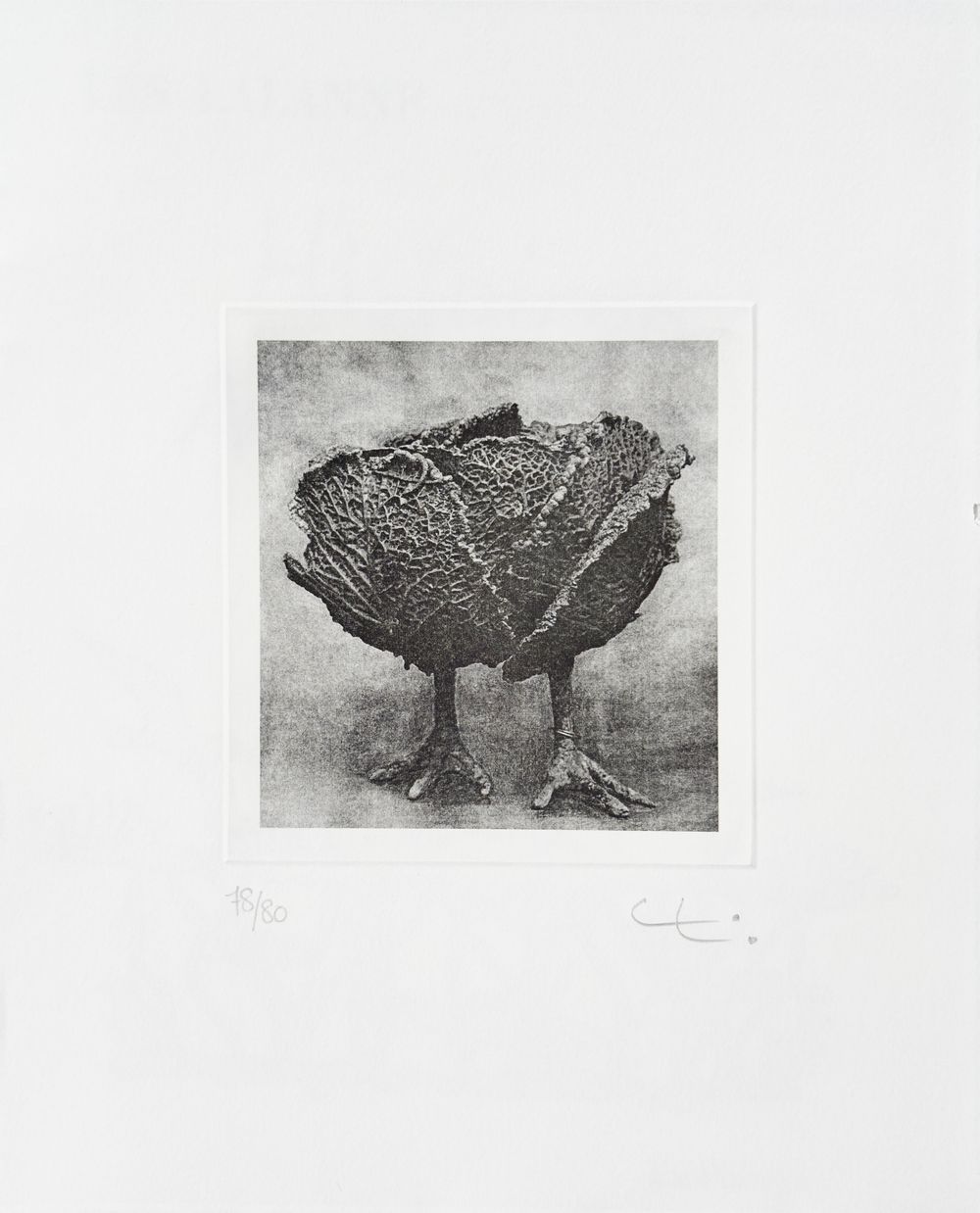 Histoires natuelles (avec 1 gravure de Claude + F.X. Lalanne — vue 3