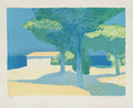 Les pins parasol