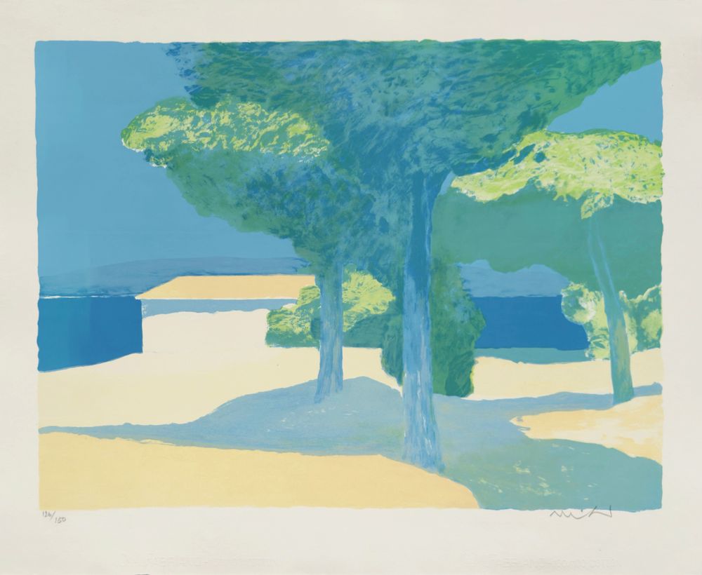 Les pins parasol
