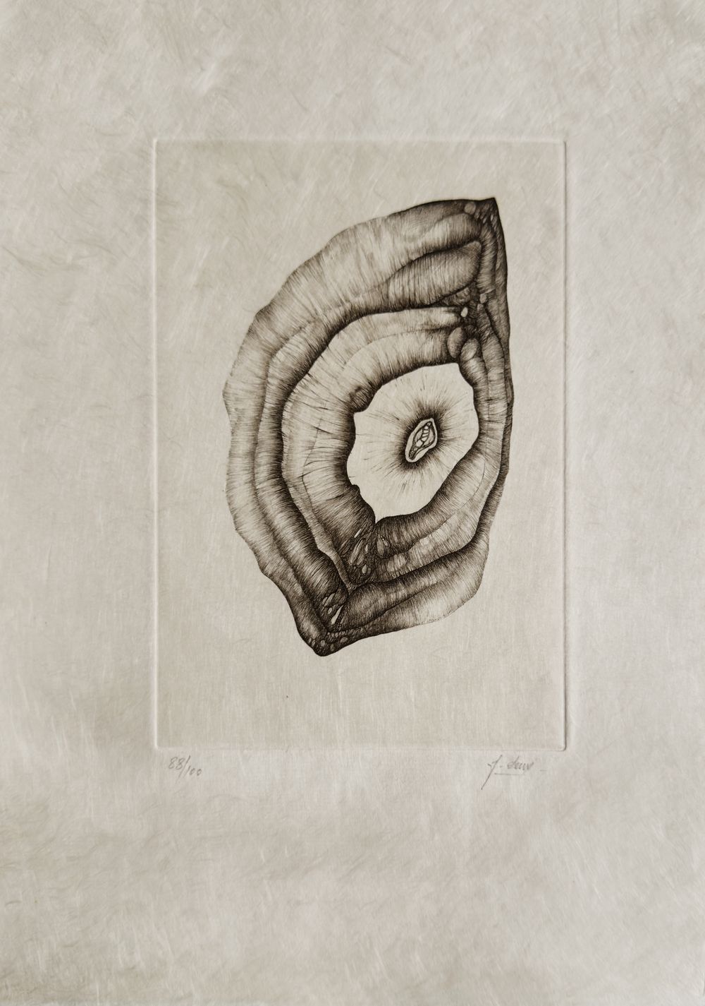 Extroït - 12 gravures signées — vue 4