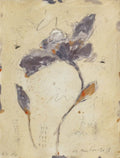 Iris II