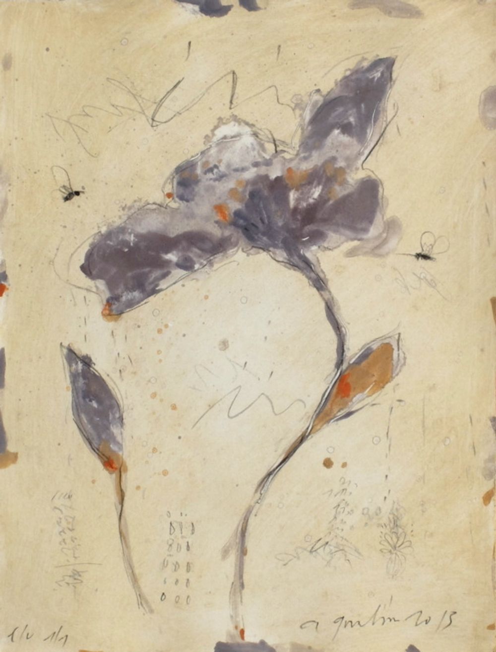 Iris II