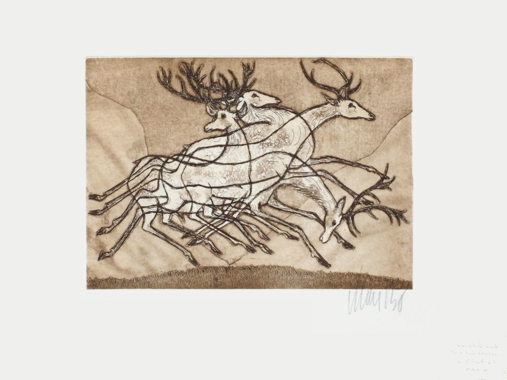 Cerfs d'Ecosse