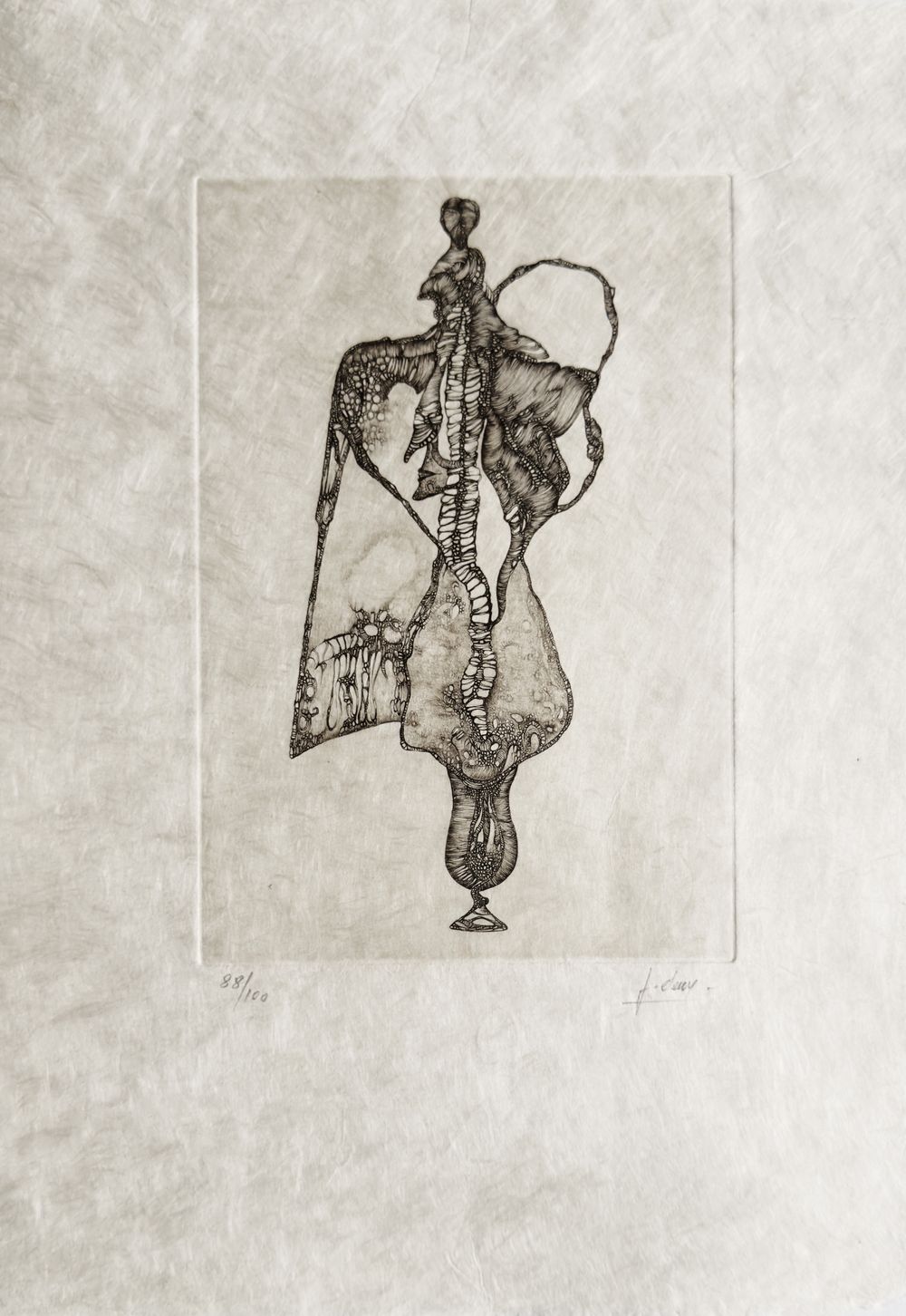 Extroït - 12 gravures signées — vue 11