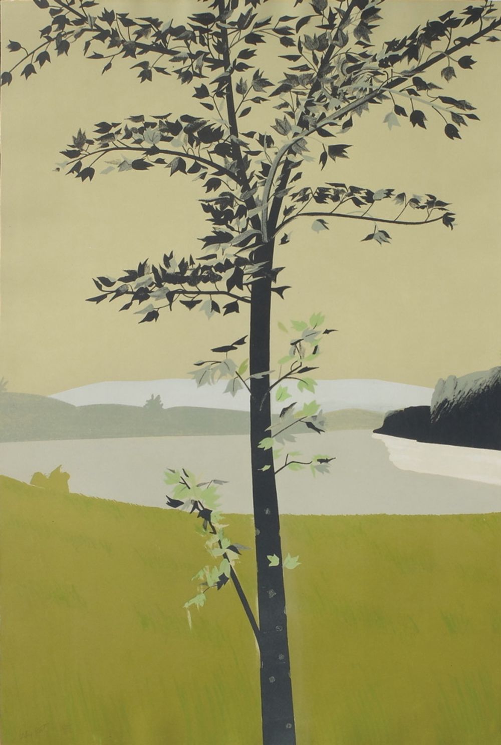 Swamp Maple I